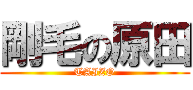 剛毛の原田 (TAIZO)