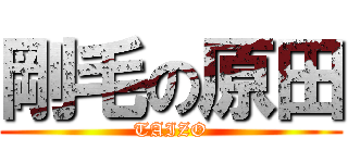 剛毛の原田 (TAIZO)