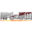 剛毛の原田 (TAIZO)