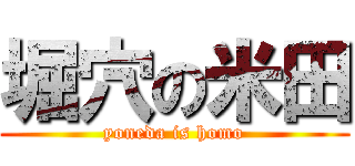 堀穴の米田 (yoneda is homo)