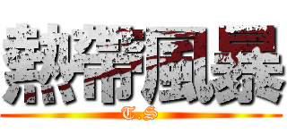 熱帶風暴 (T.S)