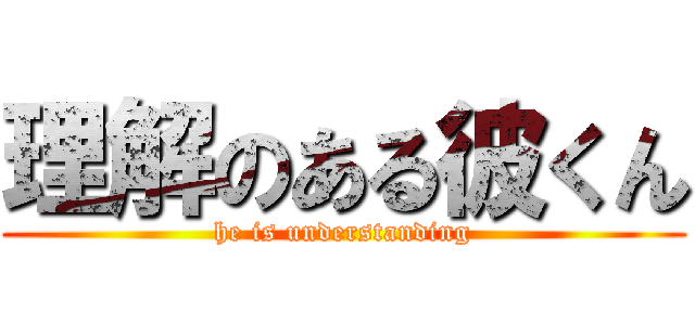 理解のある彼くん (he is understanding)