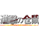 進擊の仓鼠 (attack on hamster)