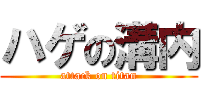 ハゲの溝内 (attack on titan)