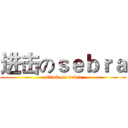 进击のｓｅｂｒａ (attack on sebra)