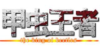 甲虫王者 (the king of beetles)