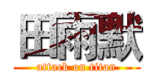 田雨默 (attack on titan)