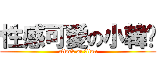性感可愛の小韓姬 (attack on titan)