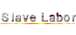 Ｓｌａｖｅ Ｌａｂｏｒ ()