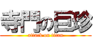 寺門の巨珍 (attack on titan)