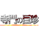 寺門の巨珍 (attack on titan)