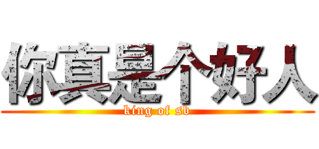 你真是个好人 (king of sb)