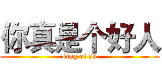 你真是个好人 (king of sb)