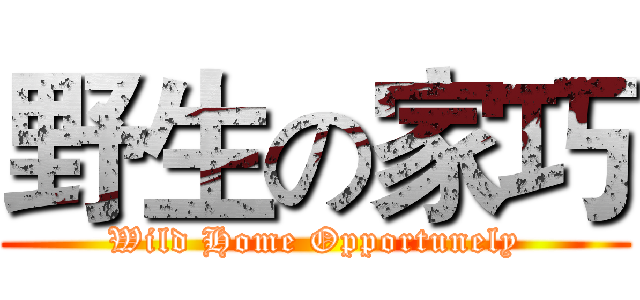 野生の家巧 (Wild Home Opportunely)