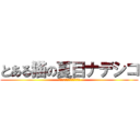 とある猫の夏目ナデシコ (とある魔術と科学の謎解目録)