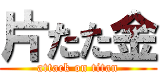 片たた金 (attack on titan)