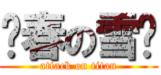 发春の雪风 (attack on titan)