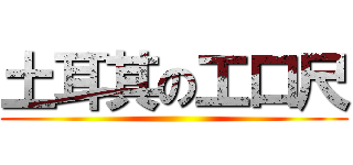 土耳其の工口尺 ()