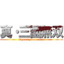 真・三國無双 (Dynasty warriors)