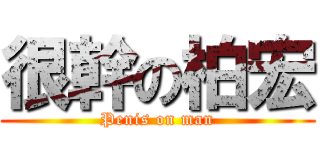 很幹の柏宏 (Penis on man)