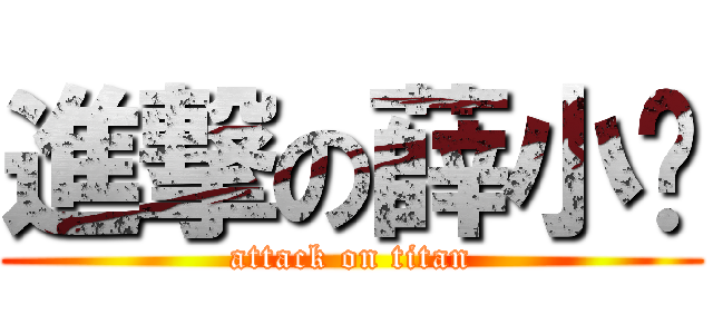進撃の薛小妞 (attack on titan)