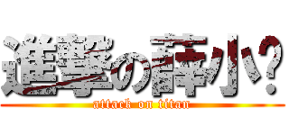 進撃の薛小妞 (attack on titan)