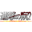 進撃の阮喵 (attack on titan)