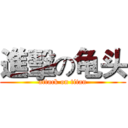 進擊の龟头 (attack on titan)