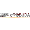 進撃ミカサ●ＢＵＤＡ (attack on titan)