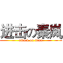 进击の秦岚 (attack on titan)