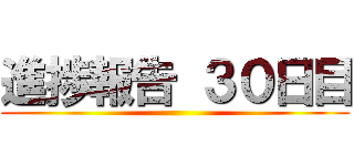 進捗報告 ３０日目 ()