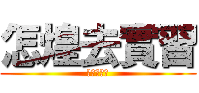 怎煌去實習 (不敢說愛妳)