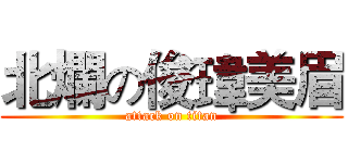 北爛の俊瑋美眉 (attack on titan)