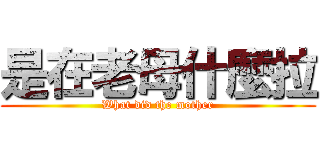 是在老母什麼拉 (What did the mother)