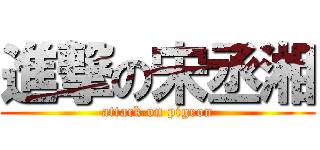 進撃の宋丞湘 (attack on pigeon)