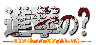 進撃の貓 (attack on stupid cat)