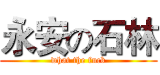 永安の石林 (what the fuck)