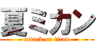 夏ミカン (attack on titan)