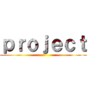 ｐｒｏｊｅｃｔ ()