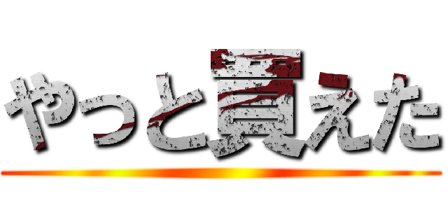 やっと買えた ()