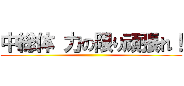 中総体 力の限り頑張れ！ ()