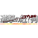 進撃の赶图狗 (attack on dog)