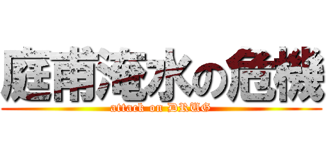 庭甫淹水の危機 (attack on DRUG)