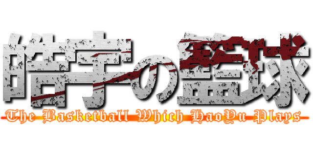 皓宇の籃球 (The Basketball Which HaoYu Plays)