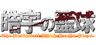 皓宇の籃球 (The Basketball Which HaoYu Plays)