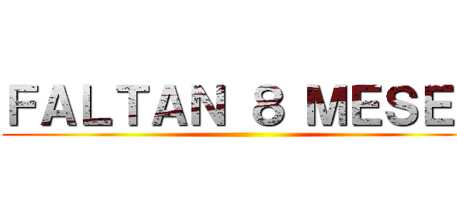 ＦＡＬＴＡＮ ８ ＭＥＳＥＳ ()