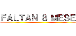 ＦＡＬＴＡＮ ８ ＭＥＳＥＳ ()