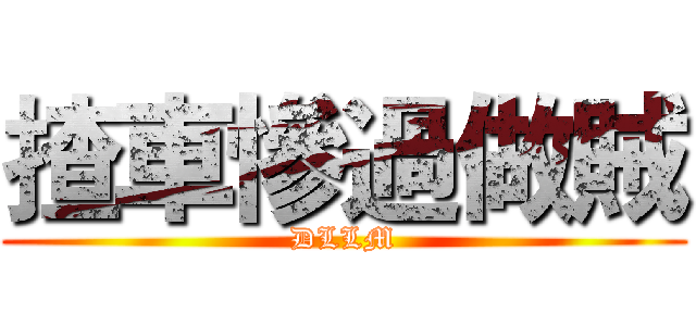 揸車慘過做賊 (DLLM)