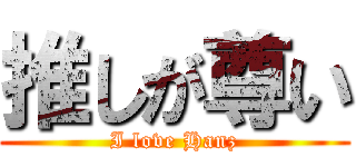 推しが尊い (I love Hanz)