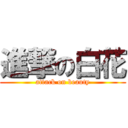 進撃の白花 (attack on beauty)